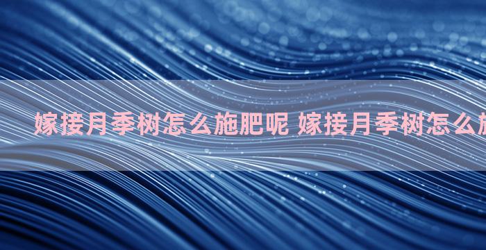 嫁接月季树怎么施肥呢 嫁接月季树怎么施肥呢图片